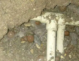 阳春卫生间测漏