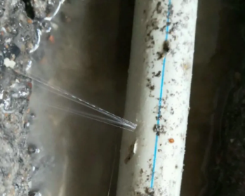 阳春卫生间测漏水多少钱