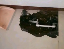 阳春卫生间测漏水多少钱